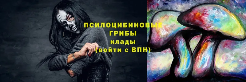 хочу   Красногорск  ссылка на мегу как войти  Псилоцибиновые грибы Magic Shrooms 